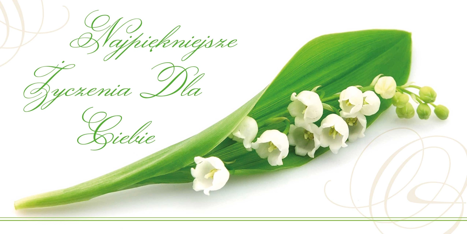 Karnet Flowers nr 1 - przód