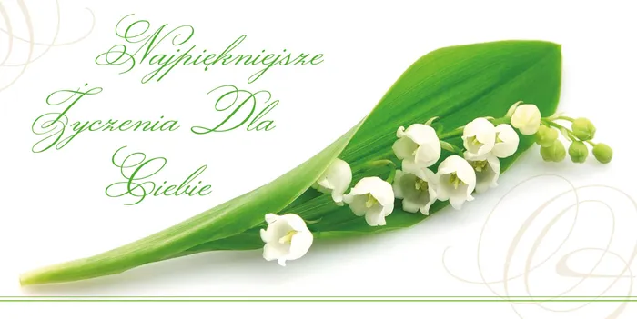 Karnet Flowers nr 1 - przód
