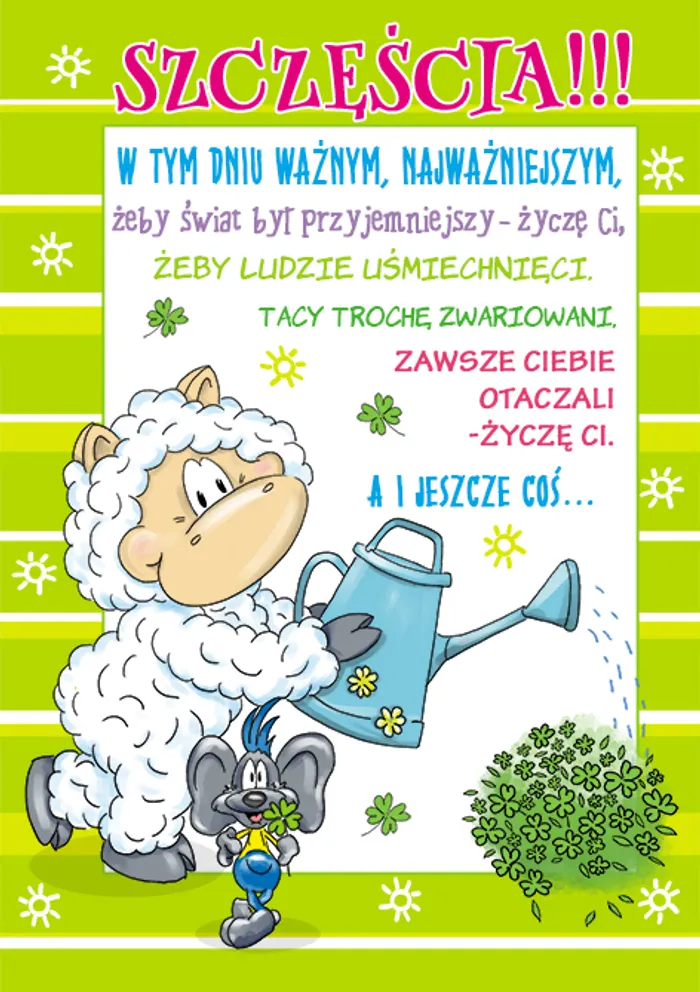 6 - przód